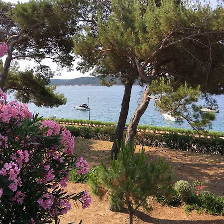 Campsite Village Poljana