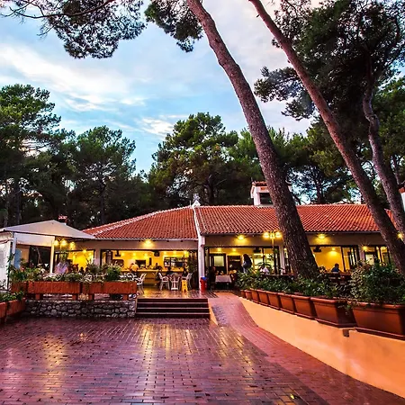 Campsite Village Poljana