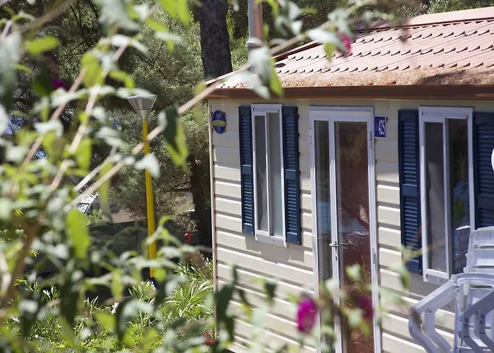 Kamp alanı Village Poljana