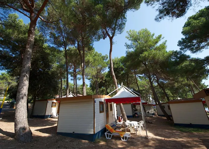Kamp alanı Village Poljana