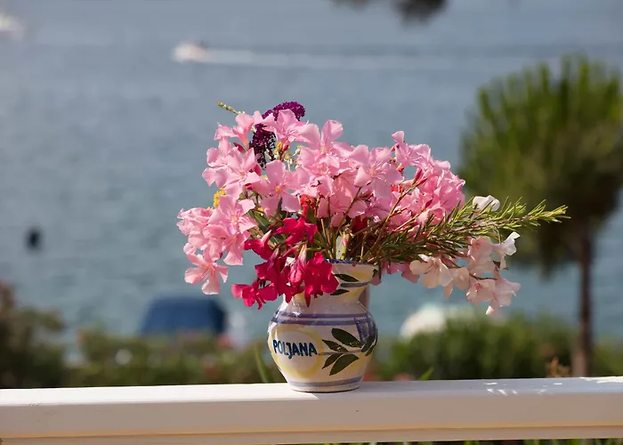 Village Poljana Kamp alanı Mali Lošinj
